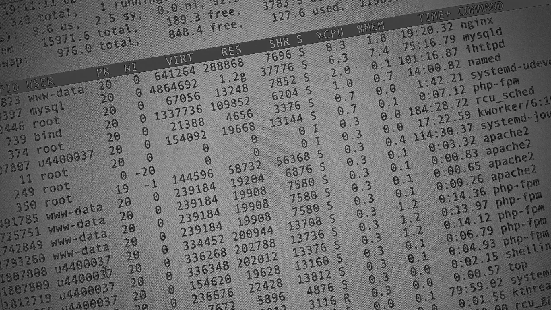 Настройка сервера в Починке