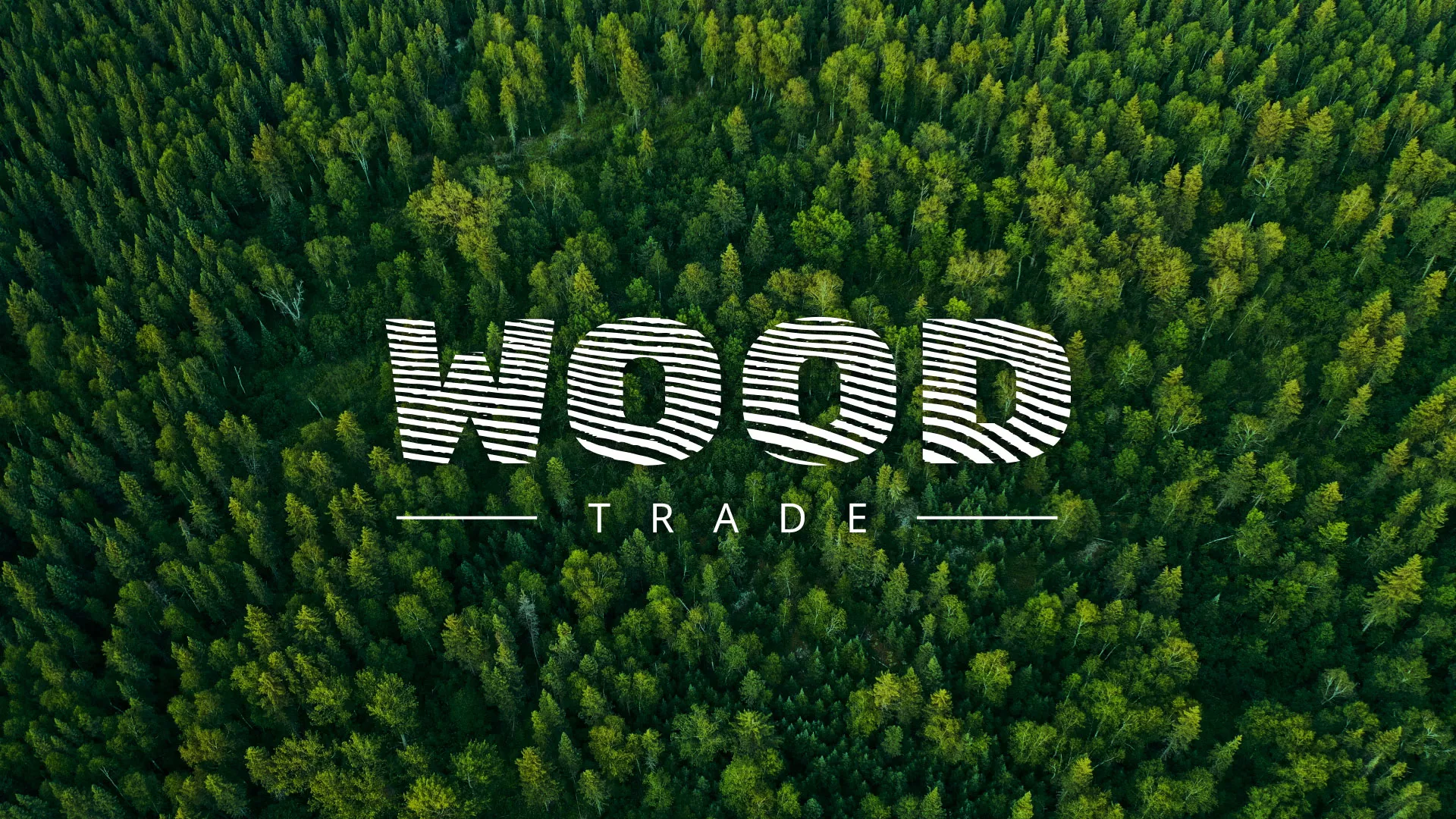 Разработка интернет-магазина компании «Wood Trade» в Починке