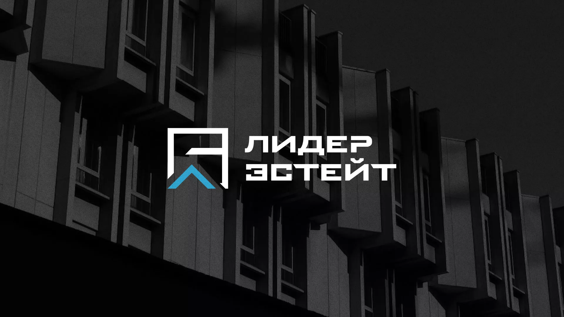 Разработка логотипа агентства недвижимости «Лидер Эстейт» в Починке